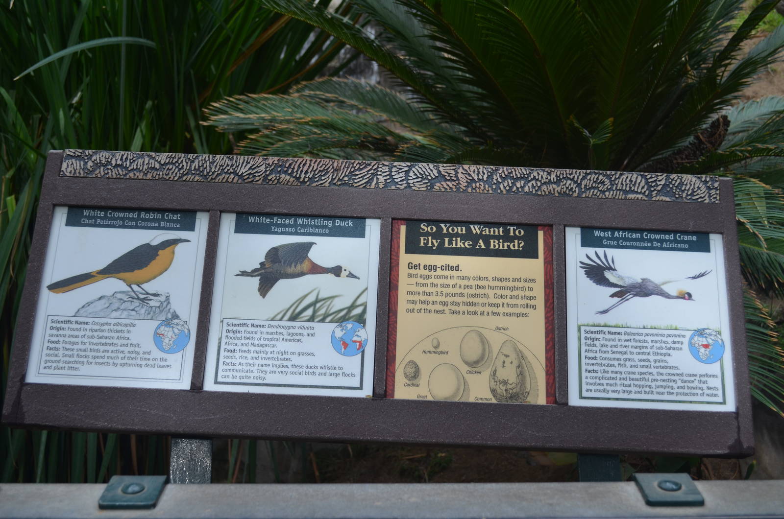 Aviary Signage