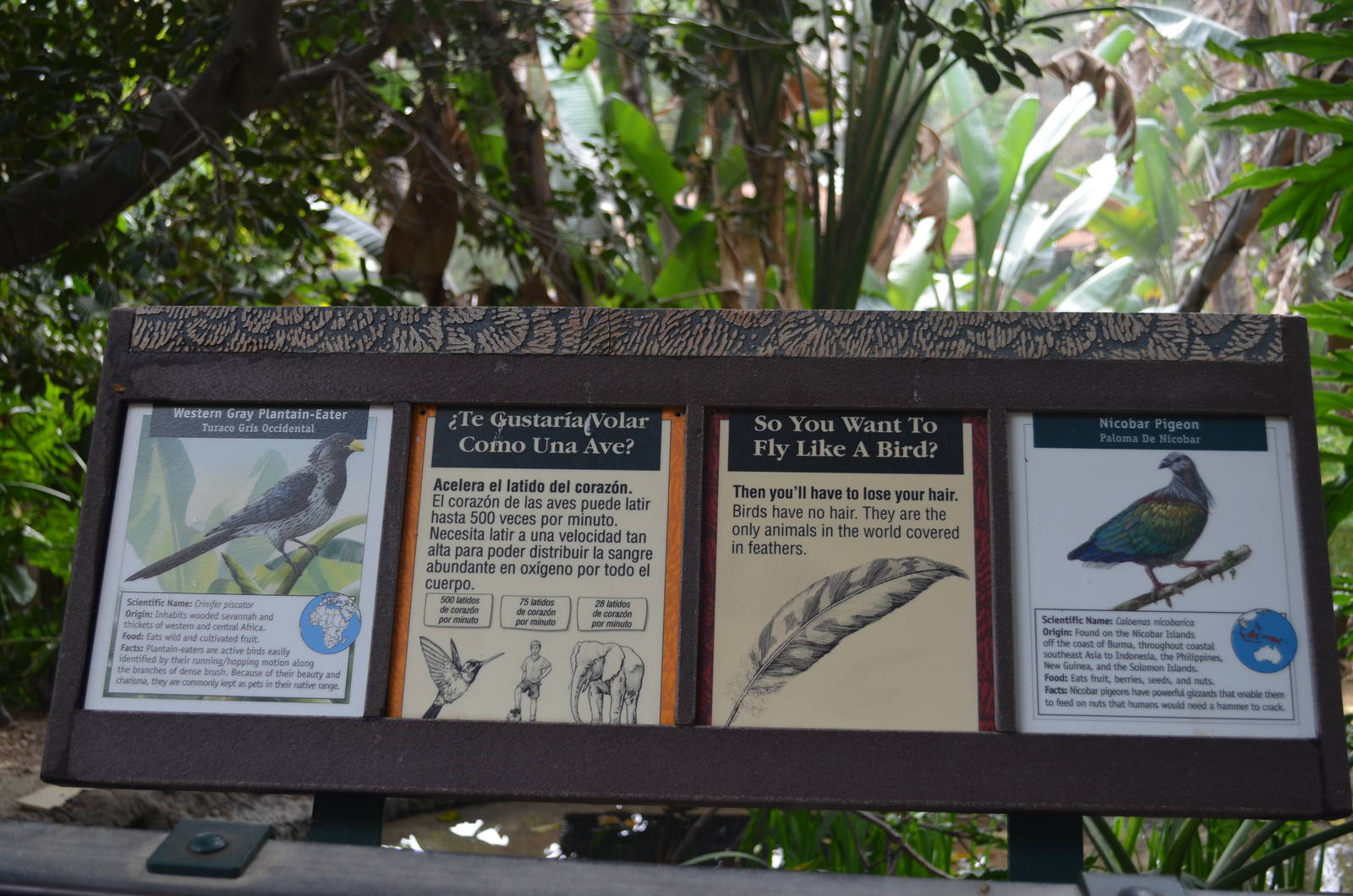 Aviary Signage