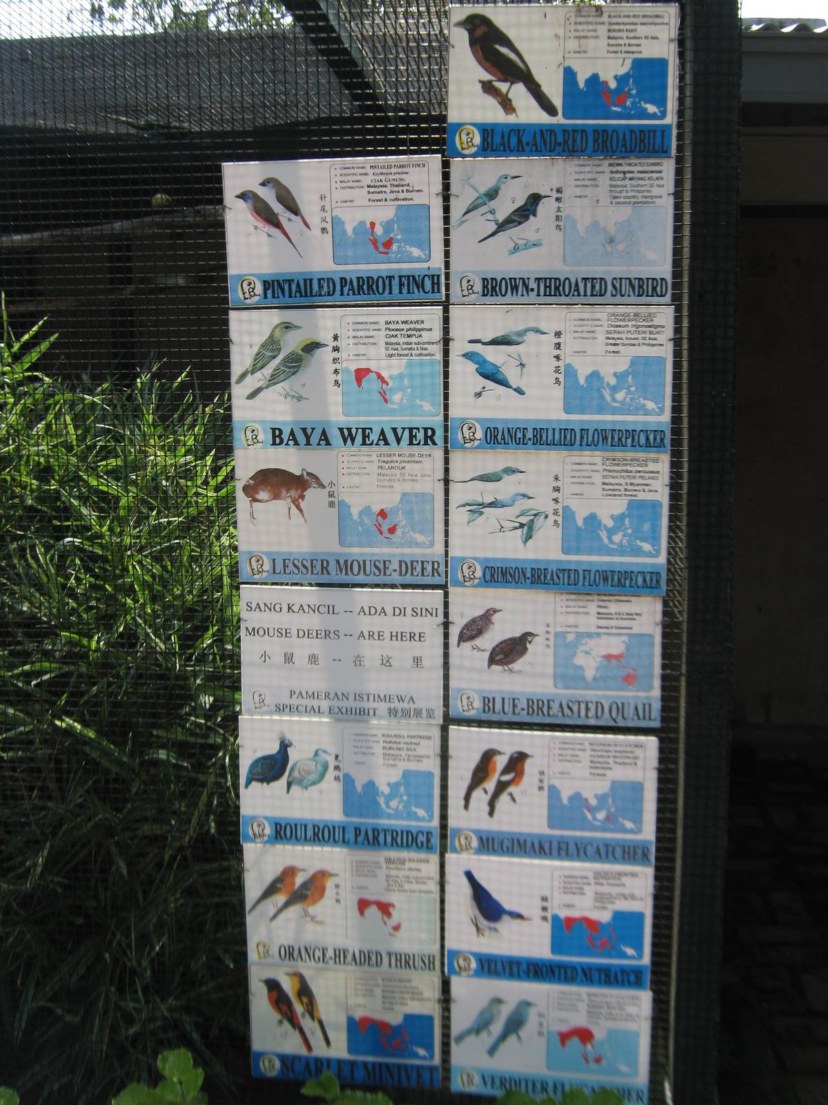aviary signage