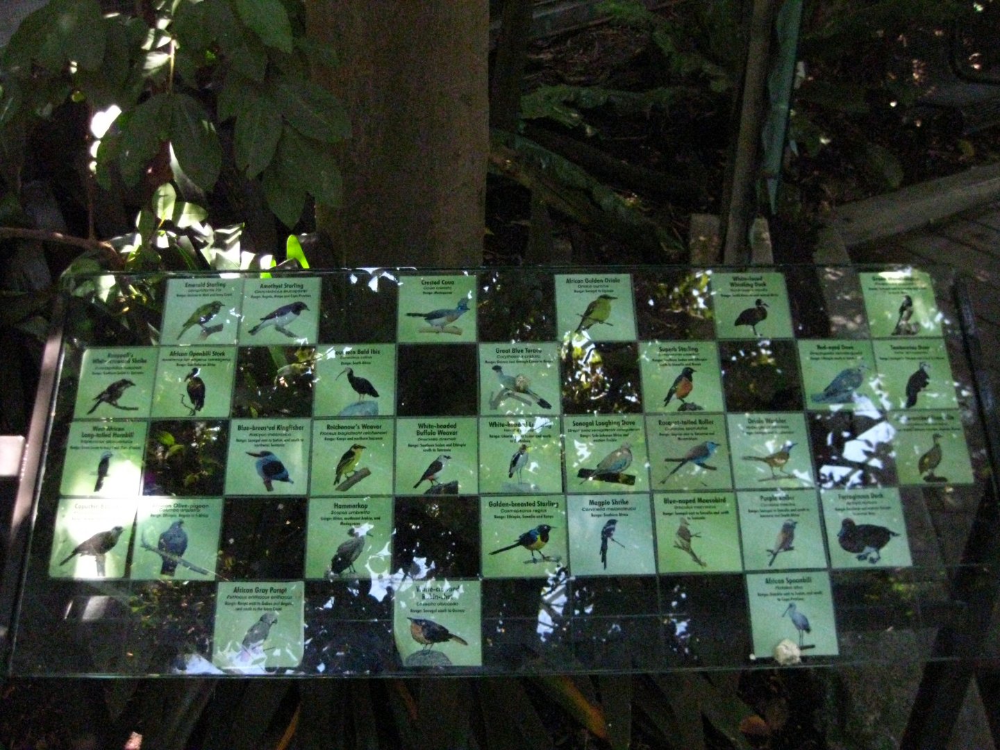 Aviary Signage
