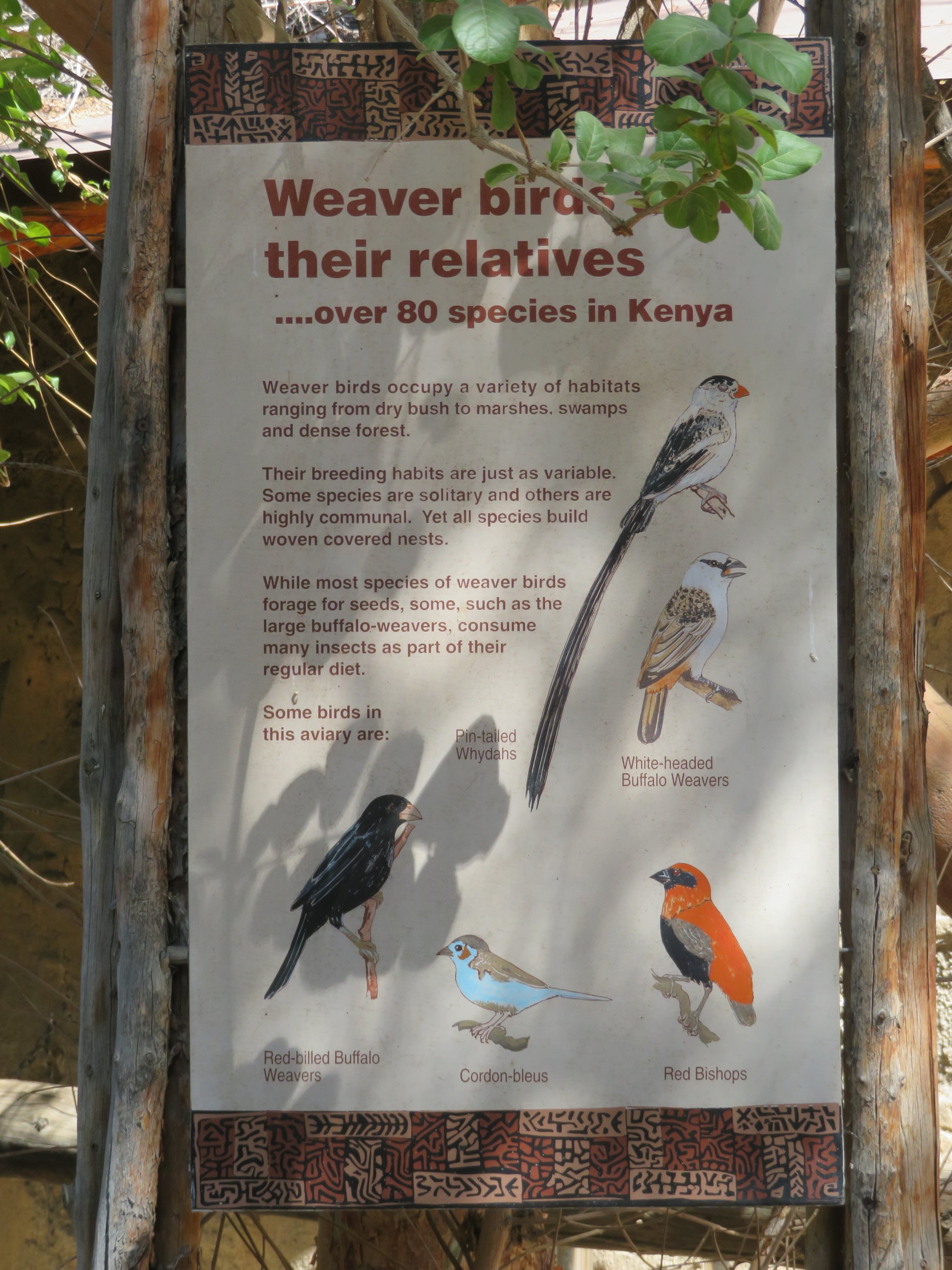 Aviary Signage