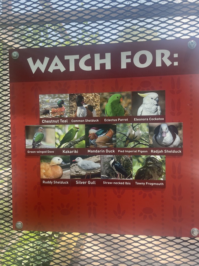 Aviary Signage