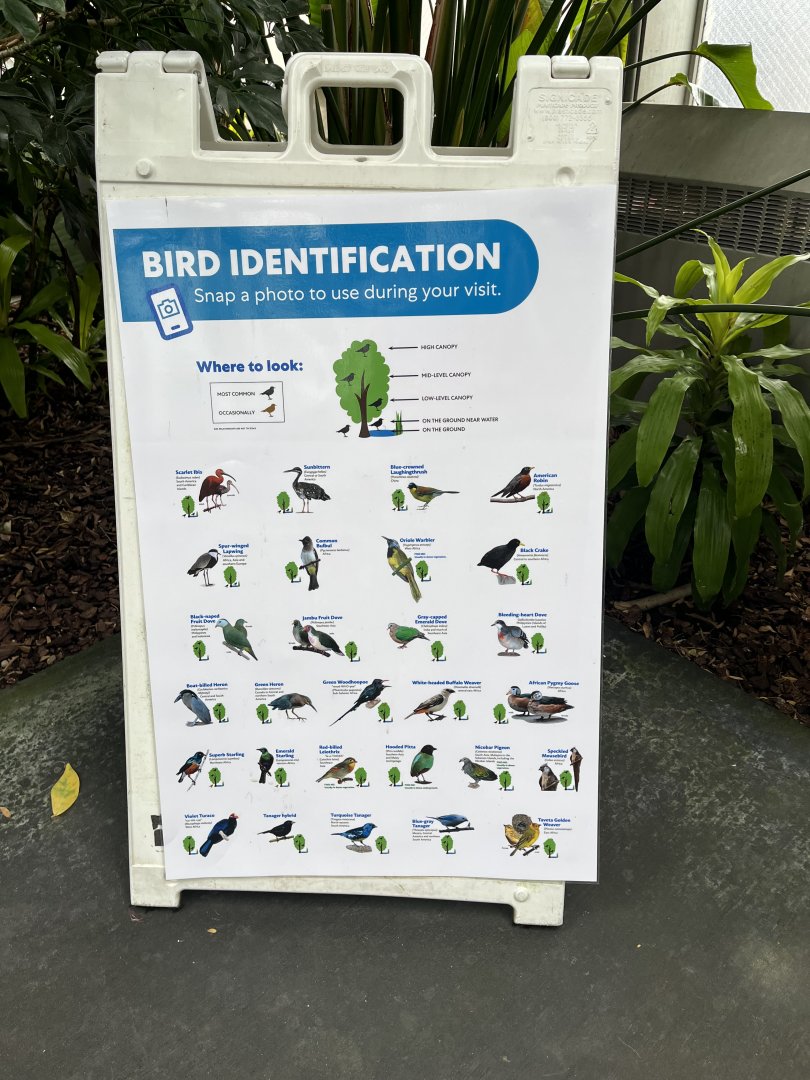 Aviary Signage