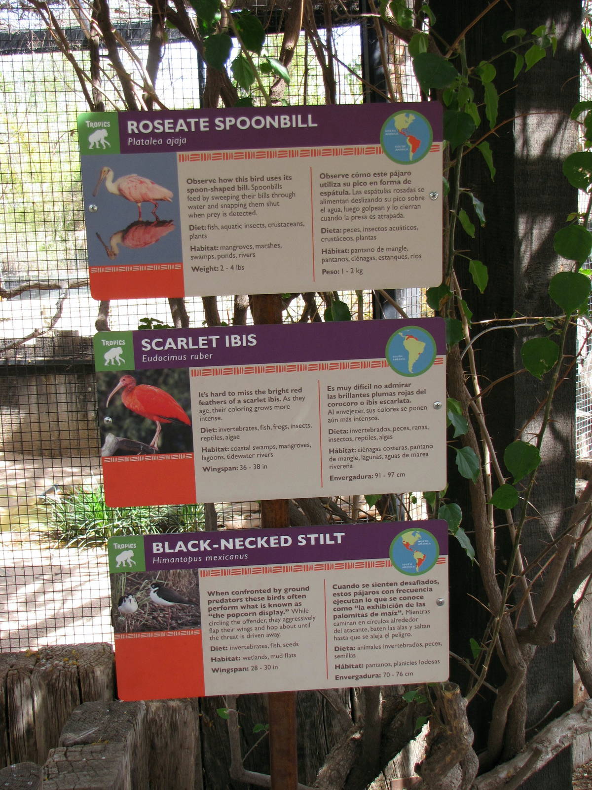 Aviary Signage