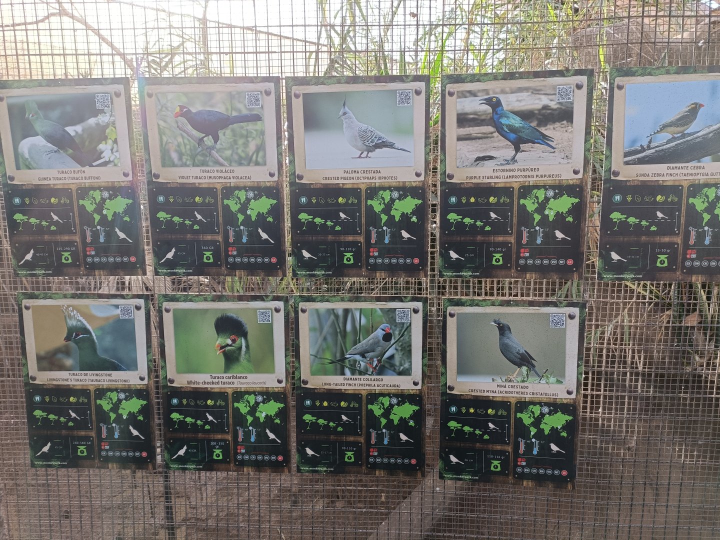Aviary signs