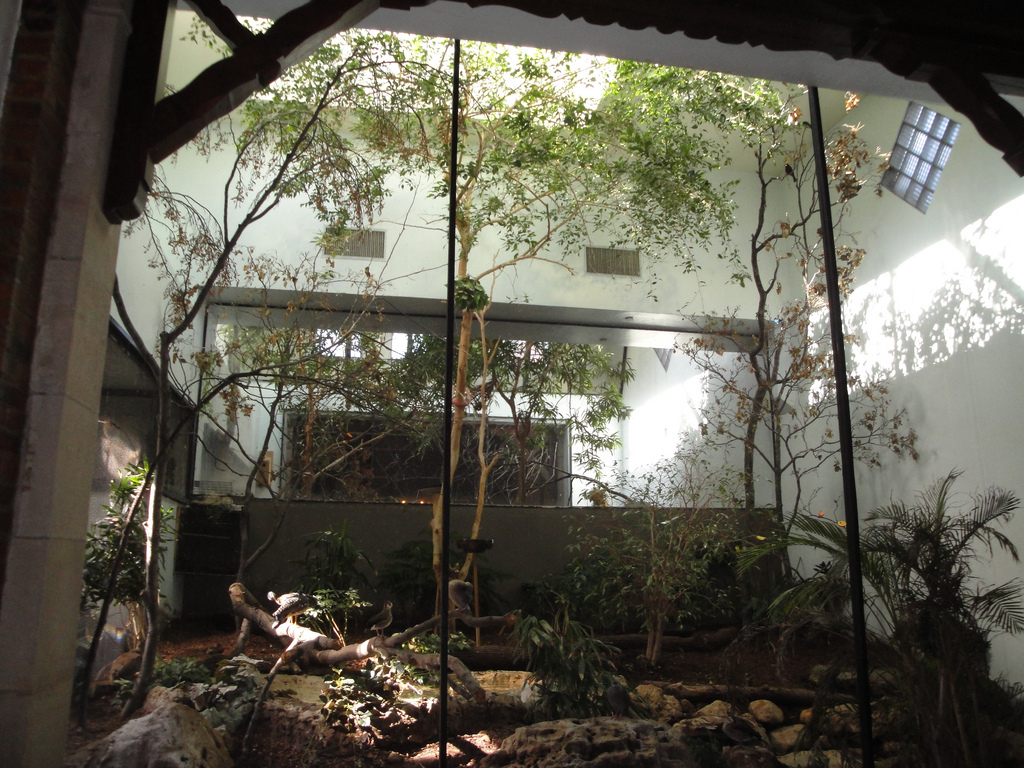 Aviary - South America Exhibit