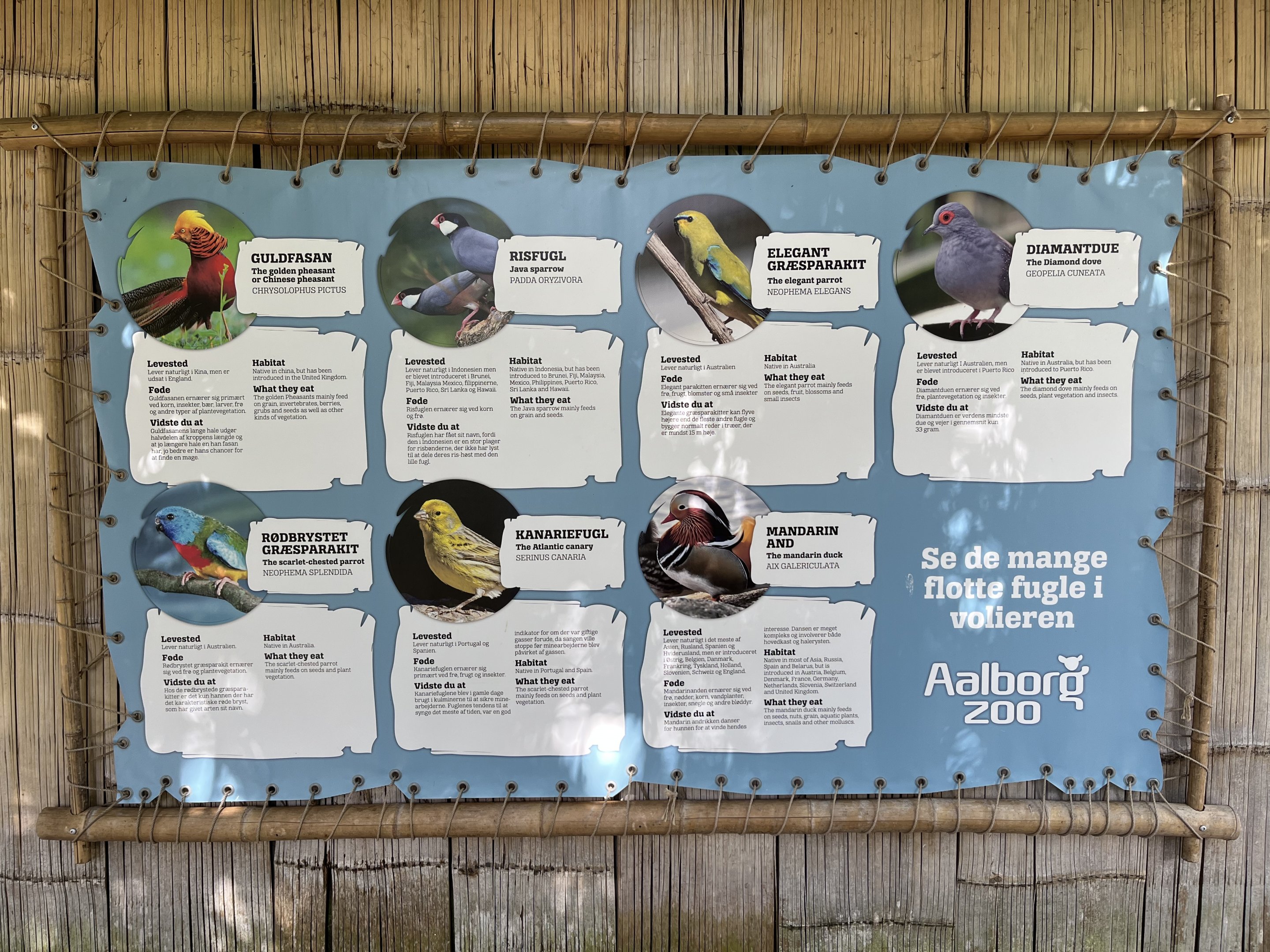 Aviary - Species List