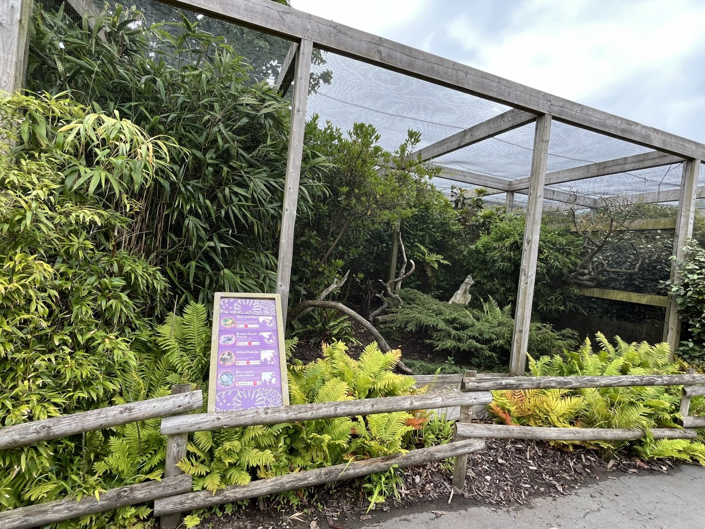 Aviary (species on sign) 29.6.24