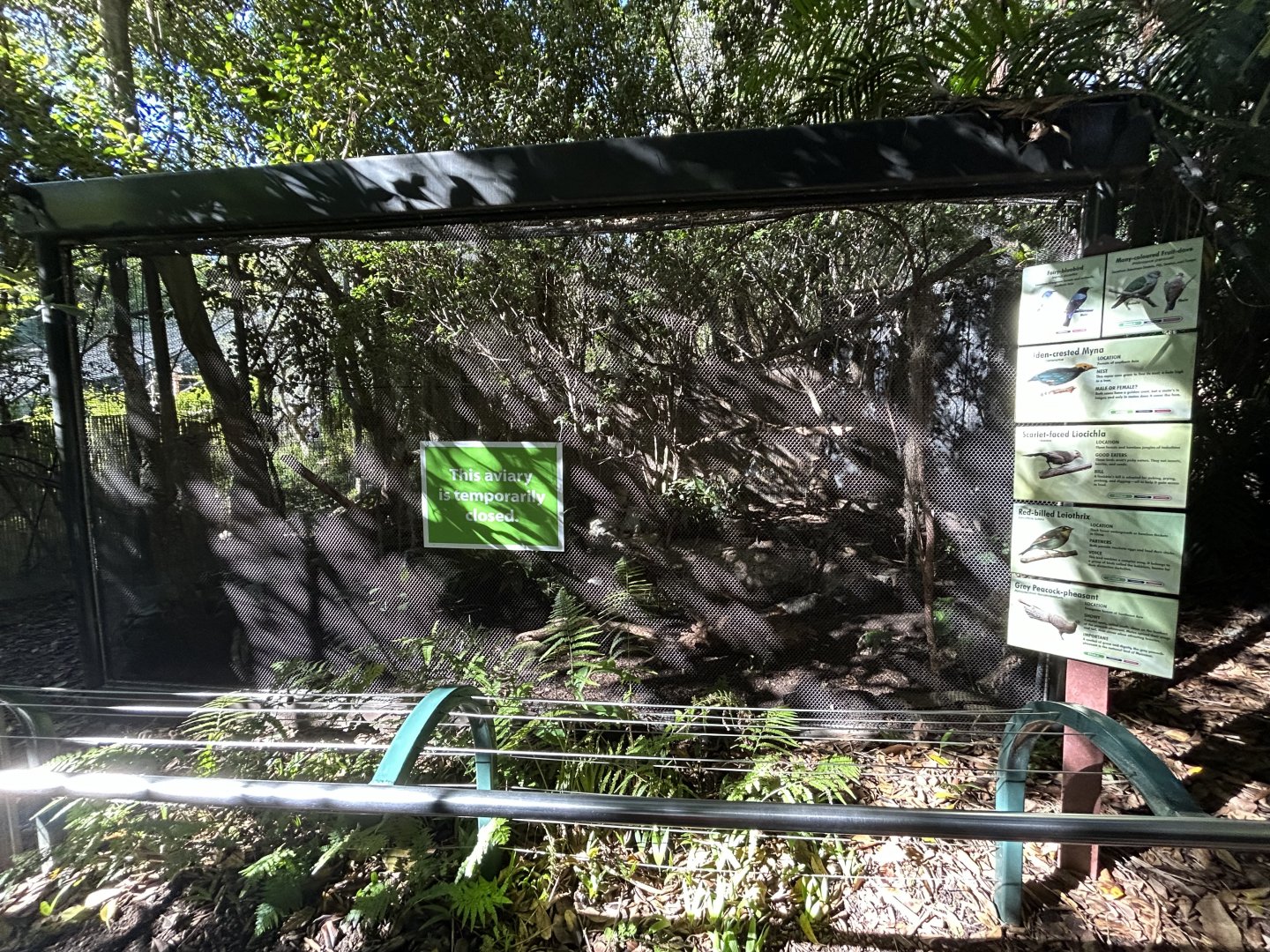 Aviary (temp. off exhibit) - Sun Bear Forest
