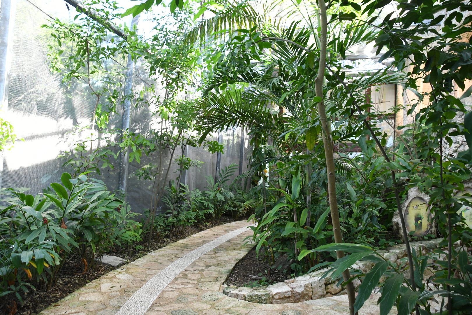 Aviary (Toucan section)