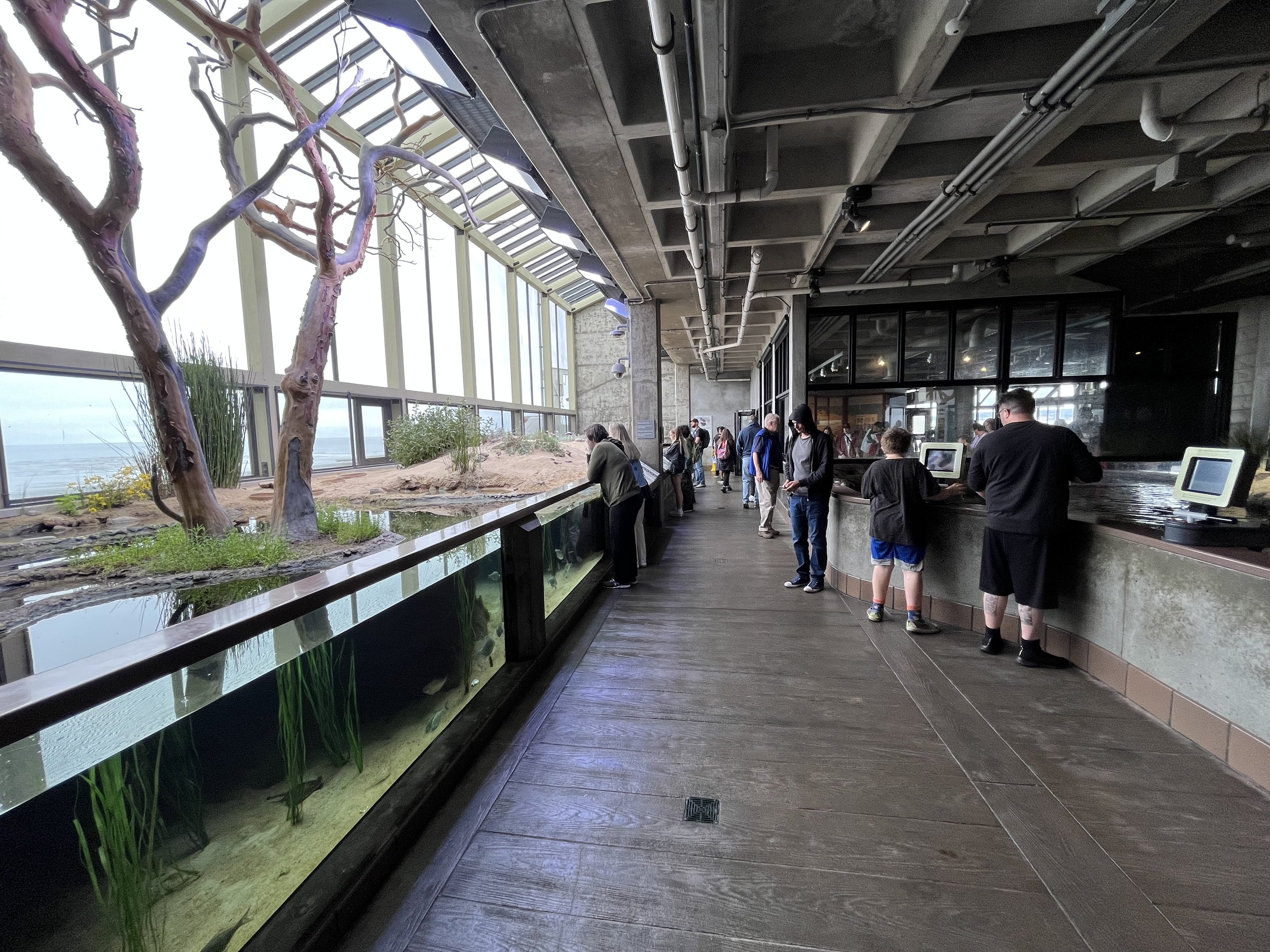 Aviary + Touch Tanks