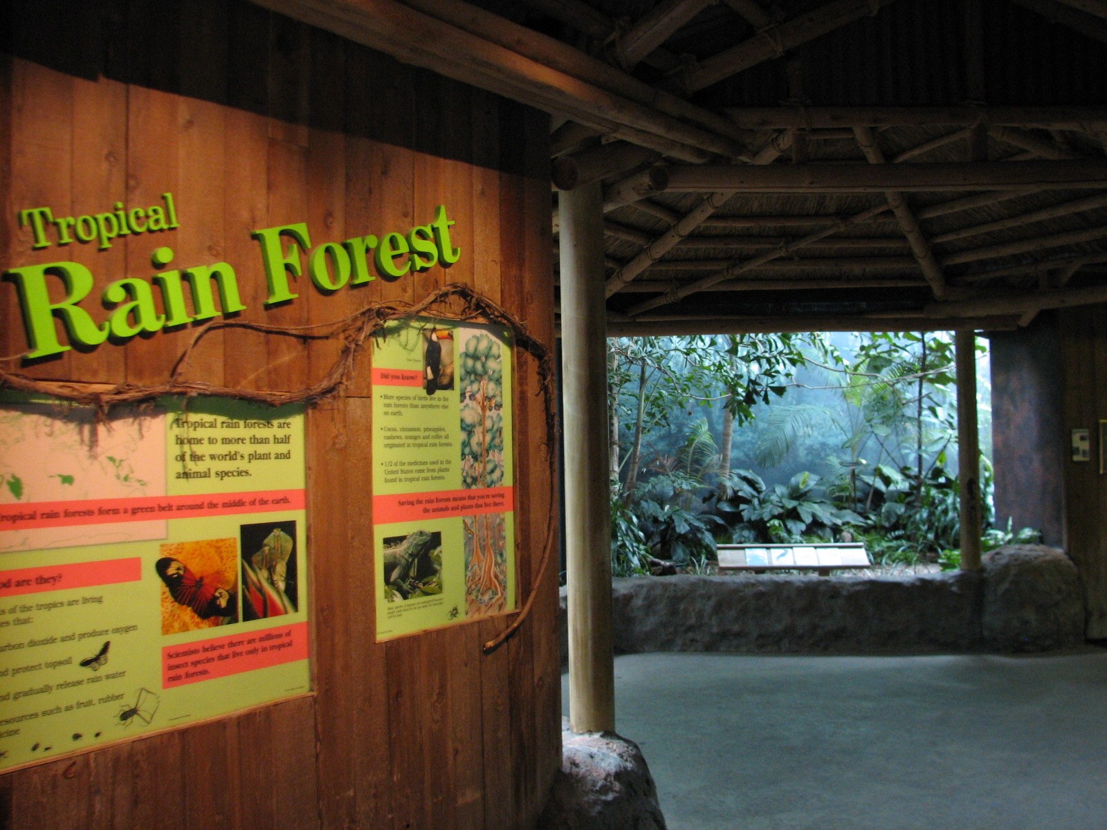 Aviary - Tropical Rain Forest Exhibits