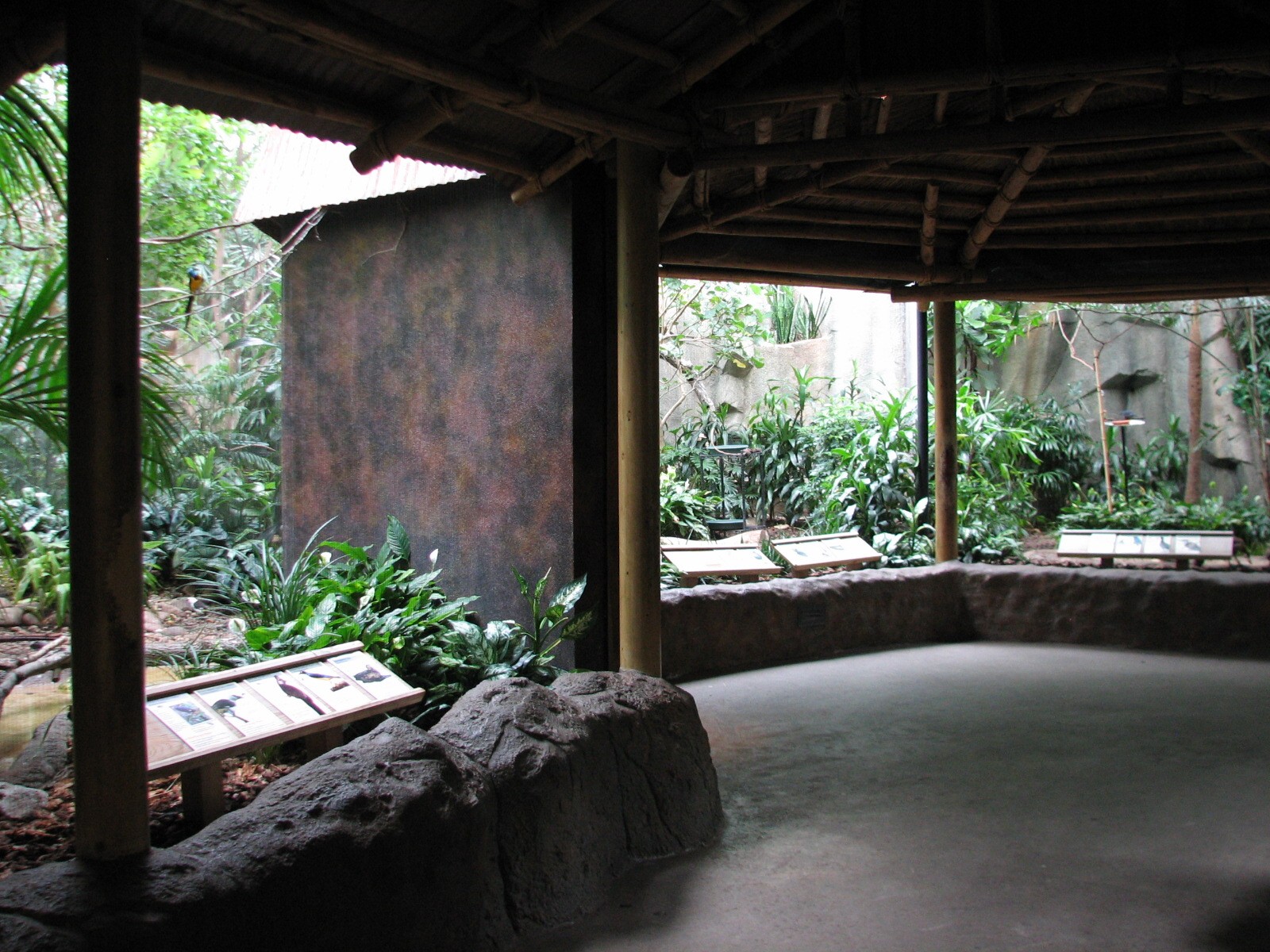 Aviary - Tropical Rain Forest Exhibits