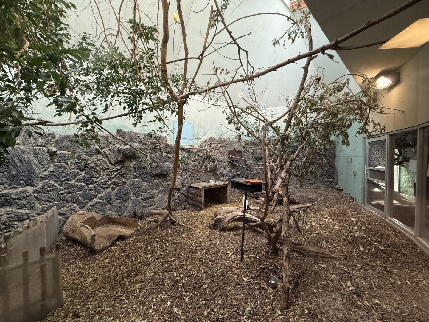 Aviary - Tropics Zone - Small Animal Building