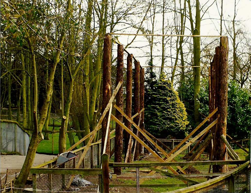 Aviary under construction 20th March 1999
