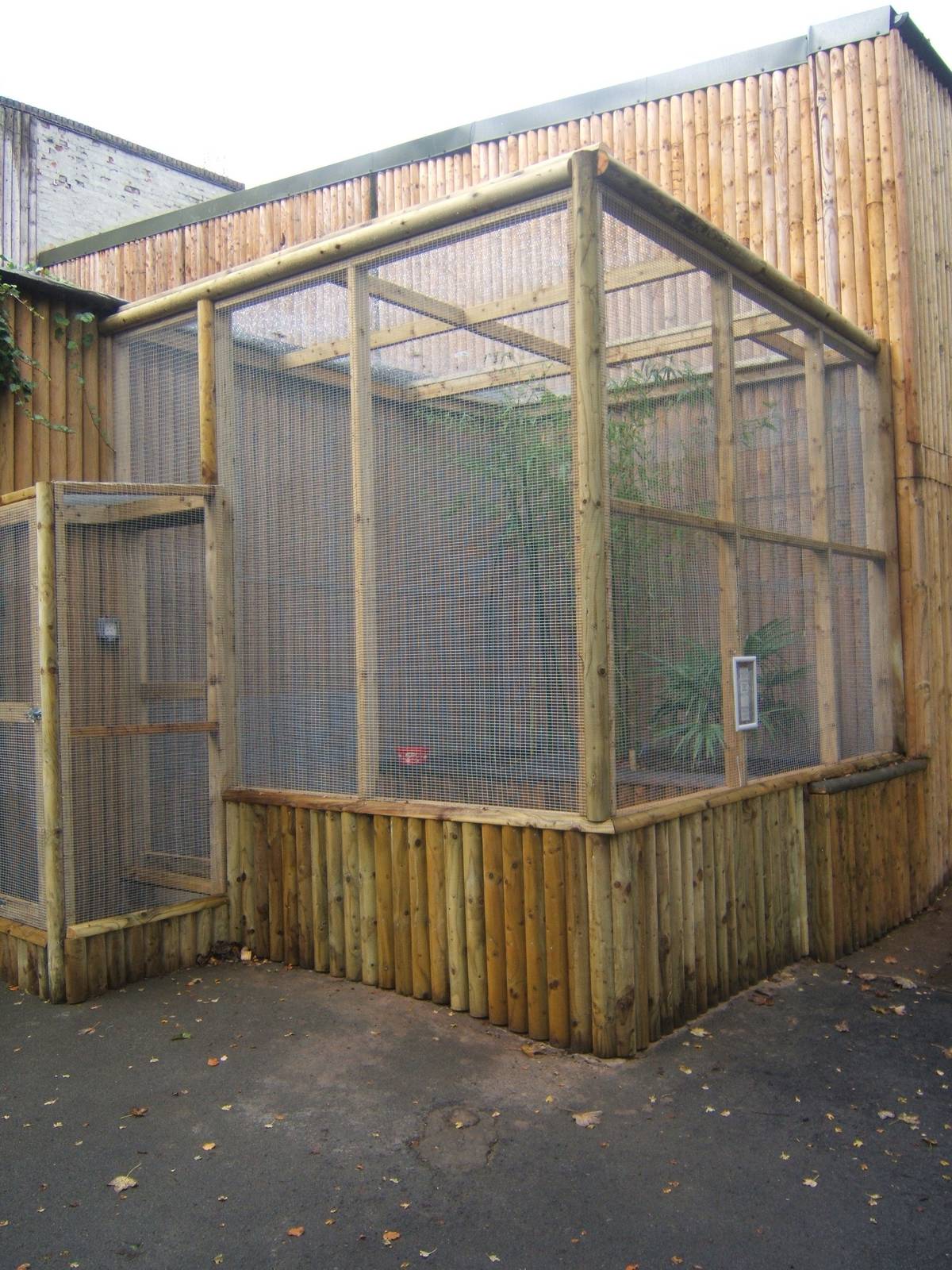 Aviary under construction