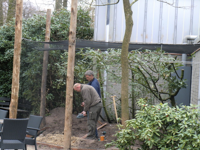 Aviary under construction