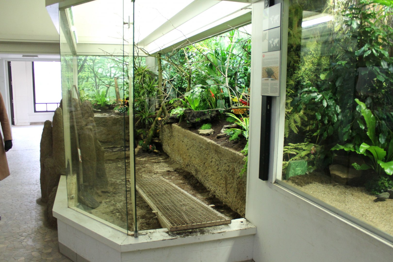 Aviary-under-construction