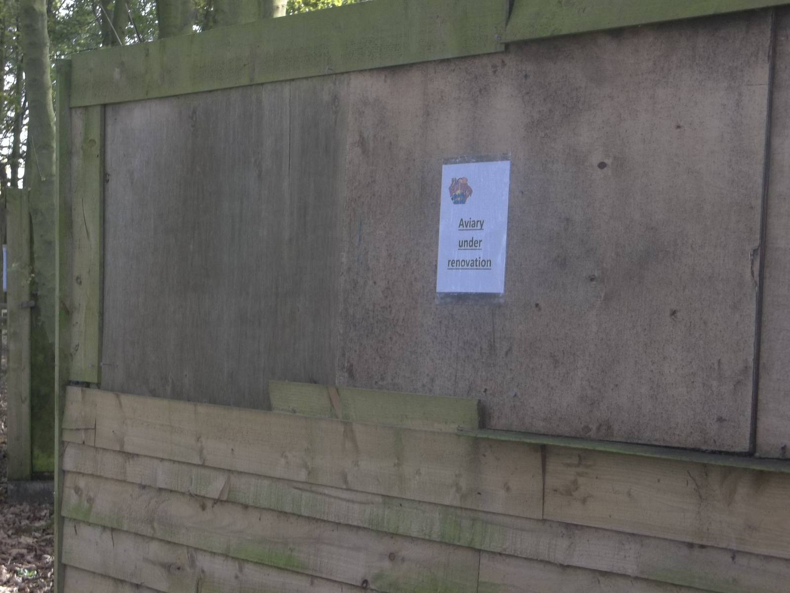 Aviary under renovation, 29th October 2014