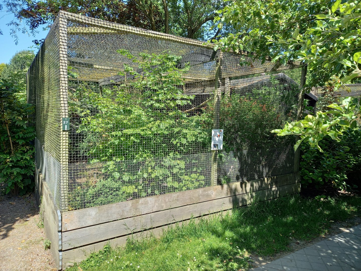 Aviary Vietnamese pheasant