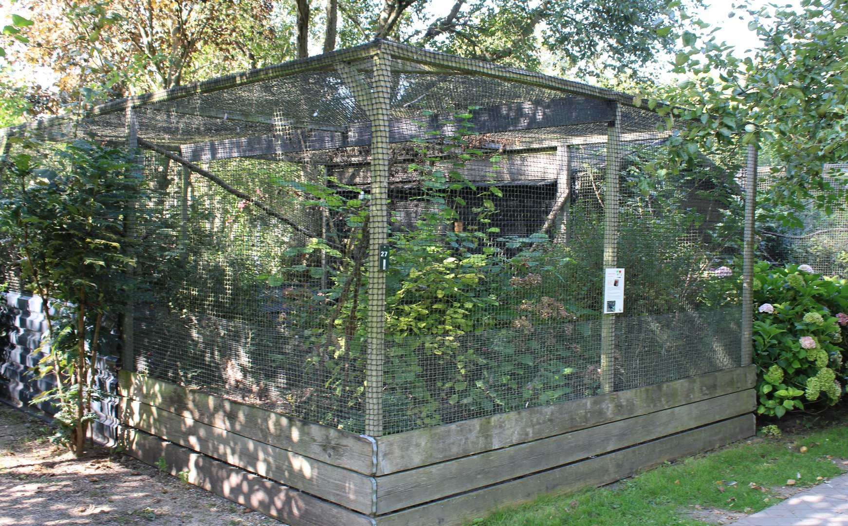 Aviary Vietnamese pheasant