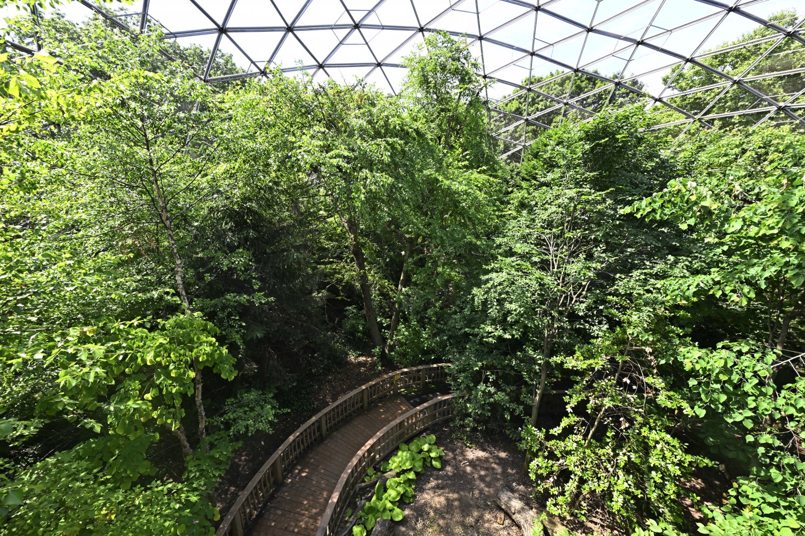 Aviary - View from the Elevated Path