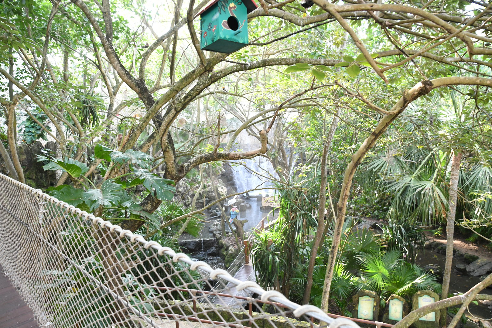 Aviary (view from the Hanging Bridge)