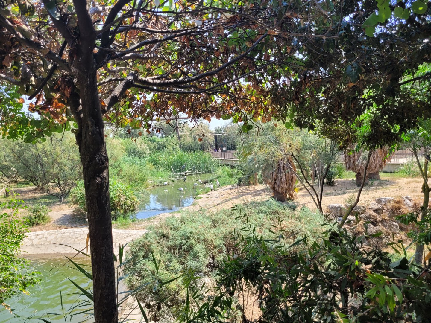 Aviary view -Réserve Africaine de Sigean (2022)