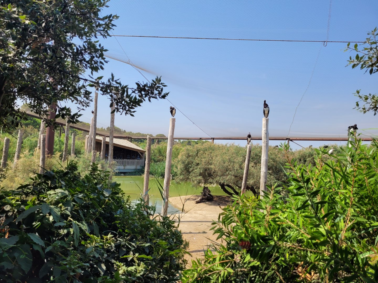 Aviary view -Réserve Africaine de Sigean (2022)