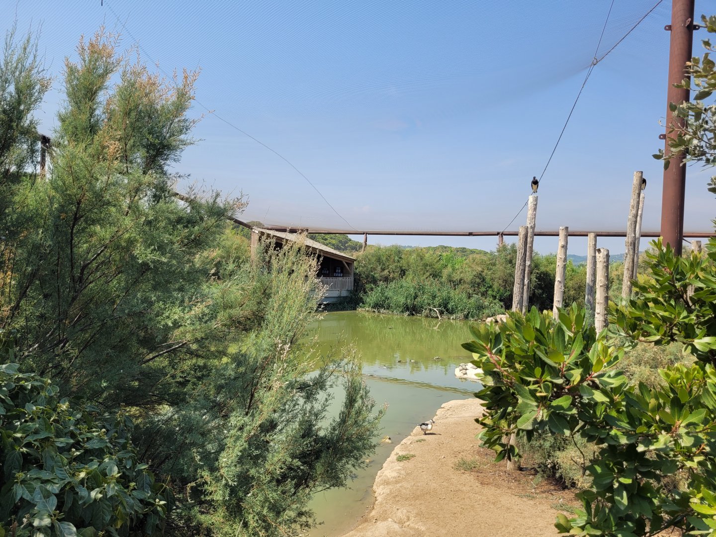 Aviary view -Réserve Africaine de Sigean (2022)