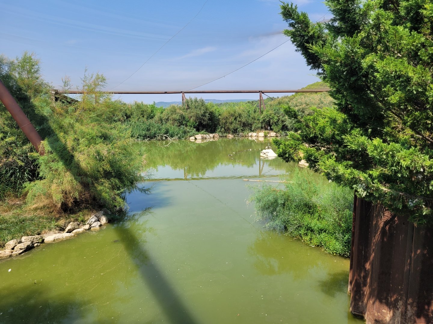 Aviary view -Réserve Africaine de Sigean (2022)
