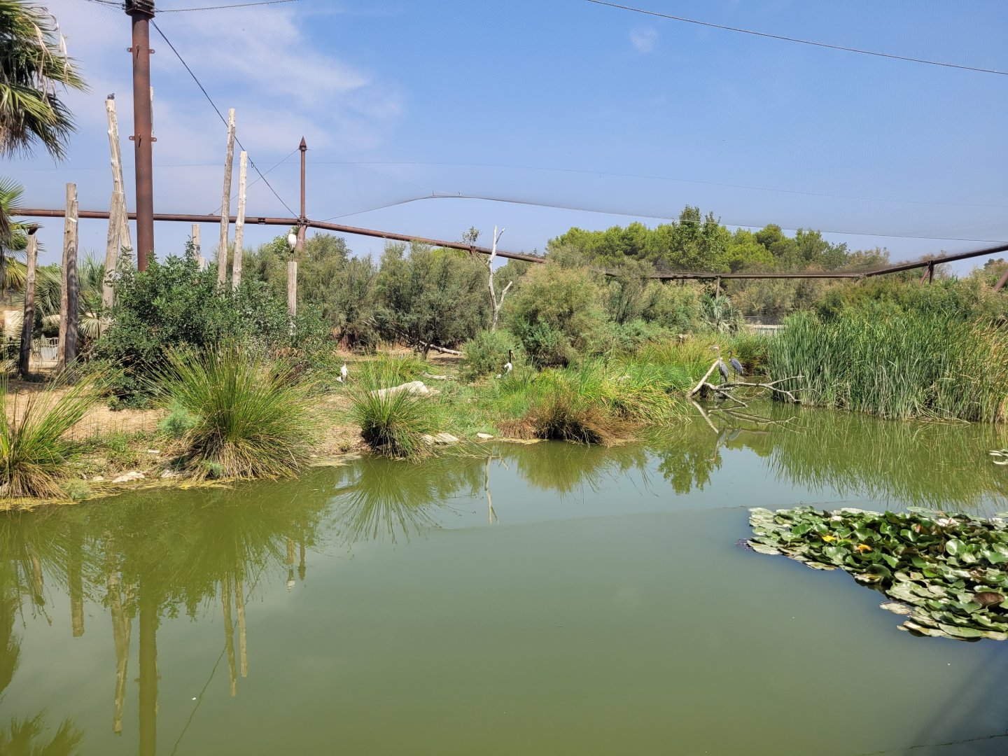 Aviary view -Réserve Africaine de Sigean (2022)
