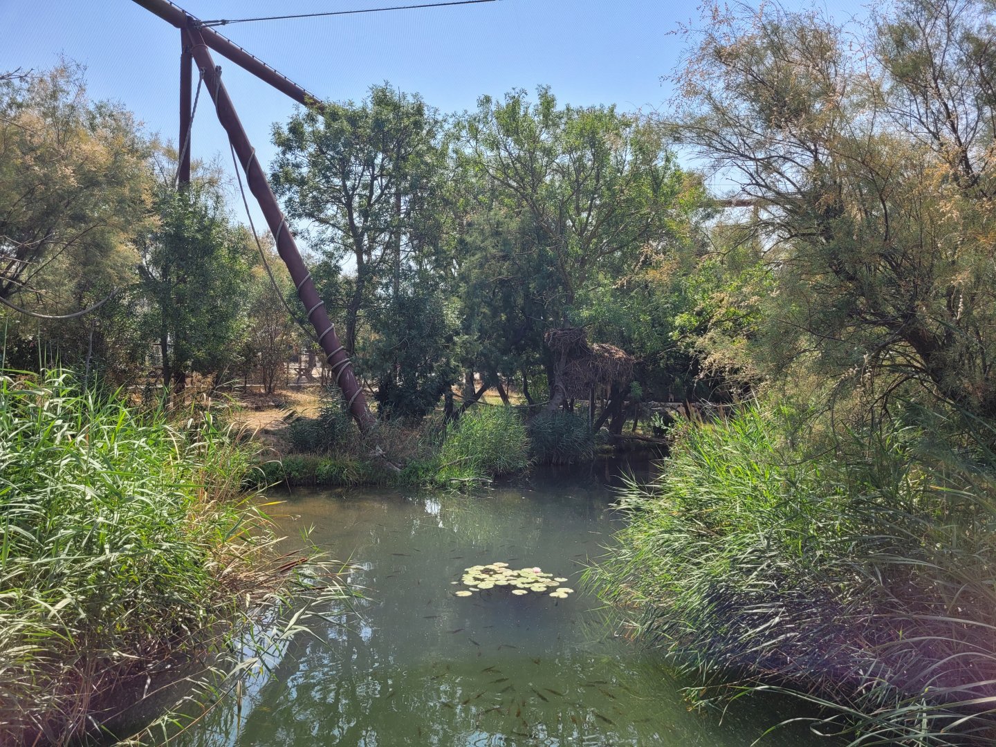 Aviary view -Réserve Africaine de Sigean (2022)