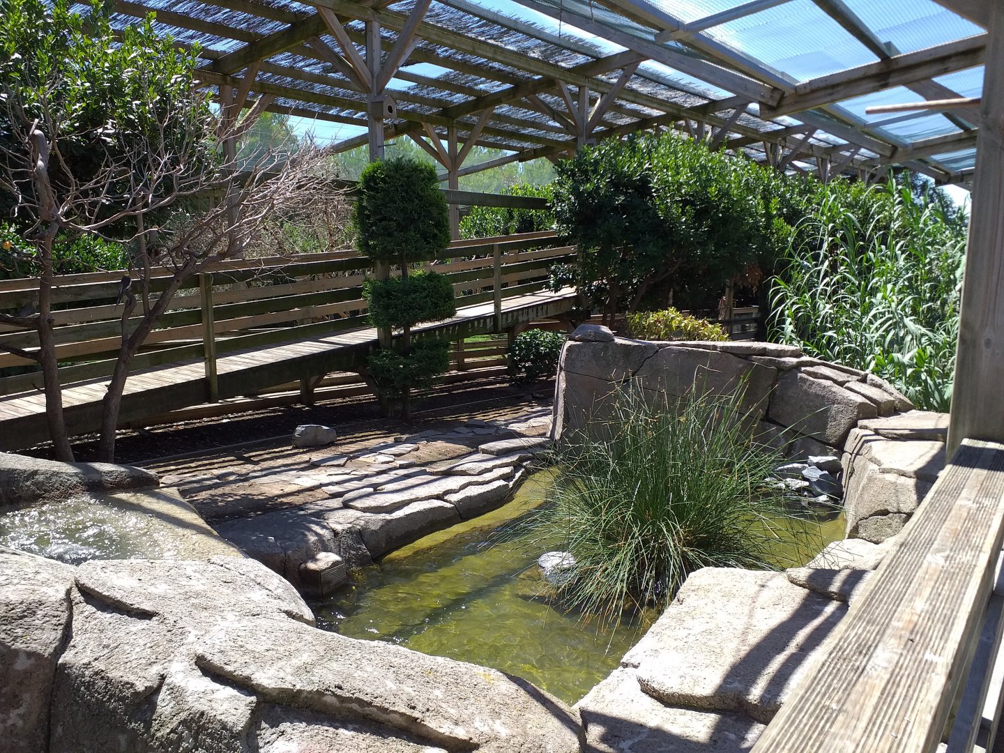 Aviary view -Sendaviva (2020)