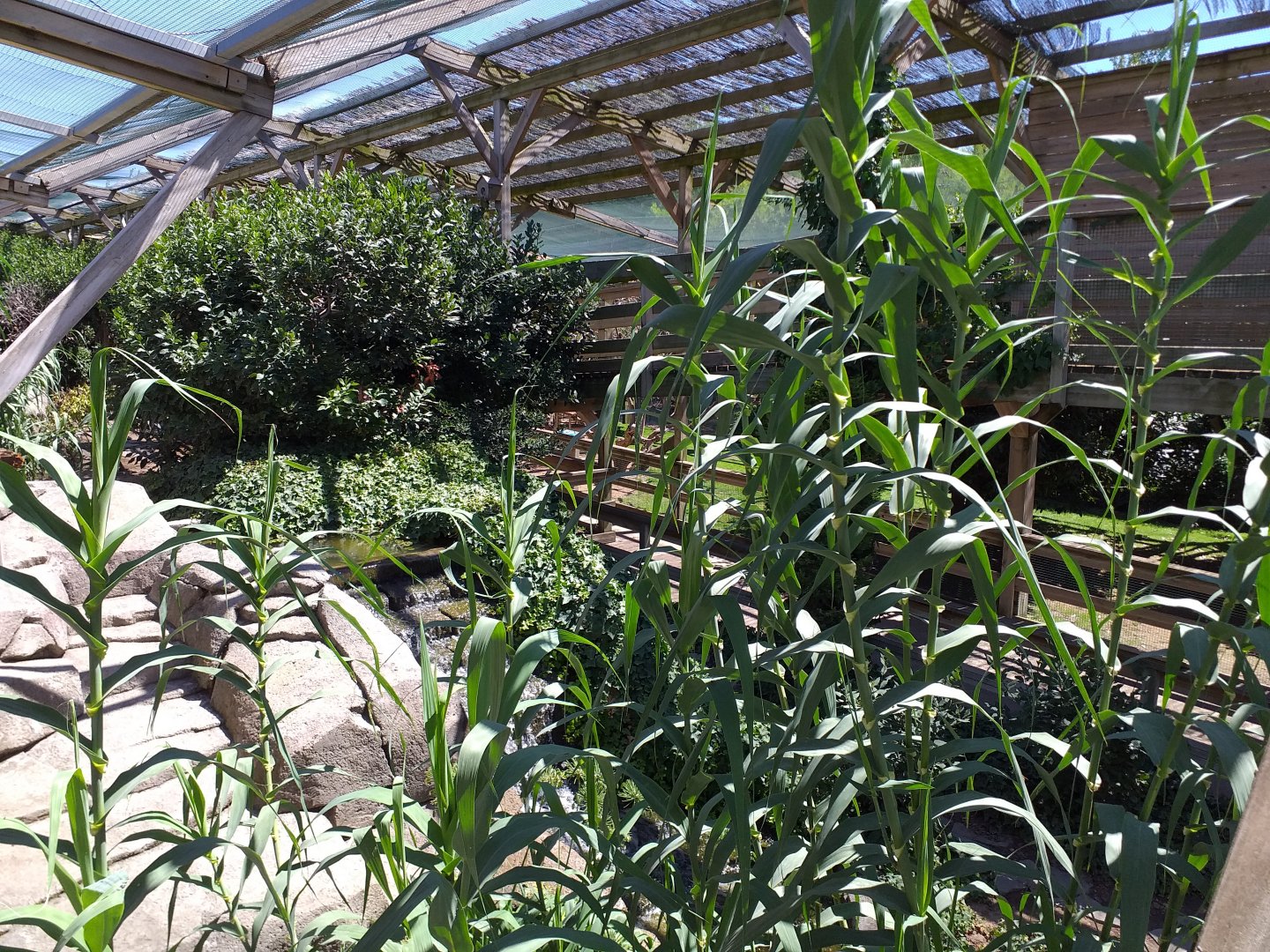 Aviary view -Sendaviva (2020)