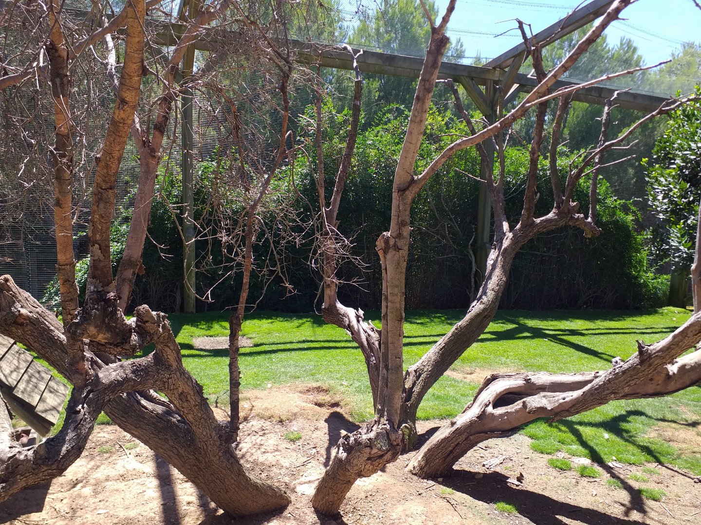 Aviary view -Sendaviva (2020)