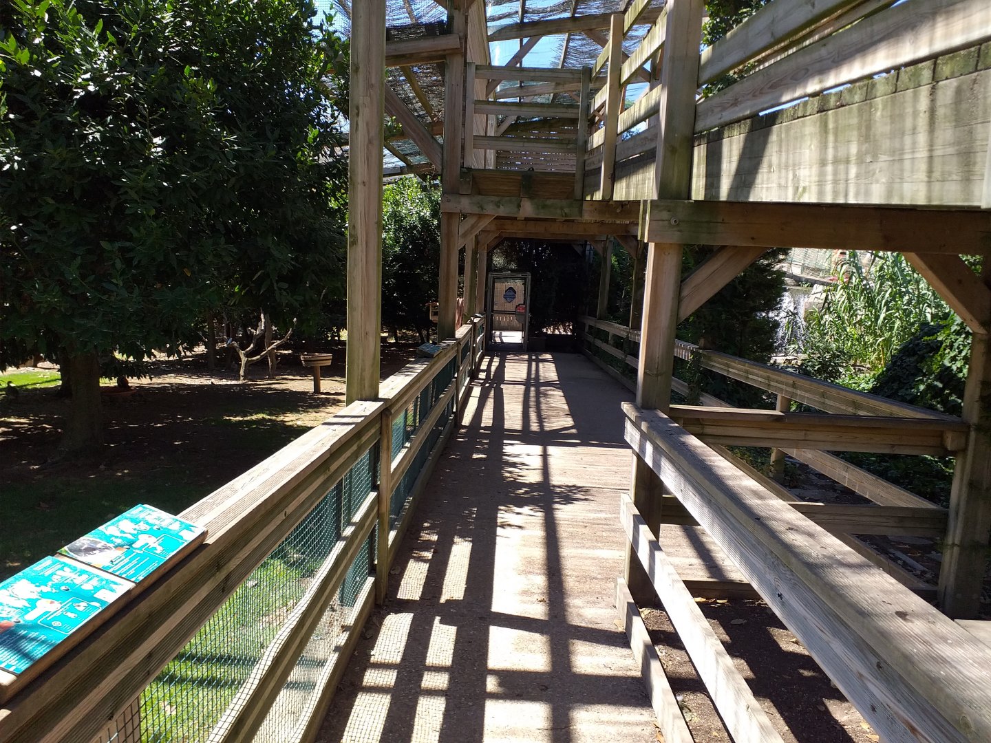 Aviary view -Sendaviva (2020)