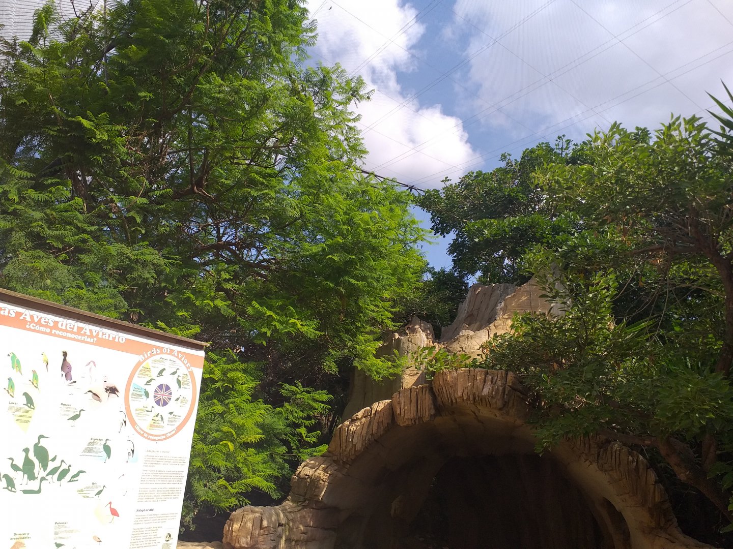 Aviary view -TerraNatura Benidorm (2021)