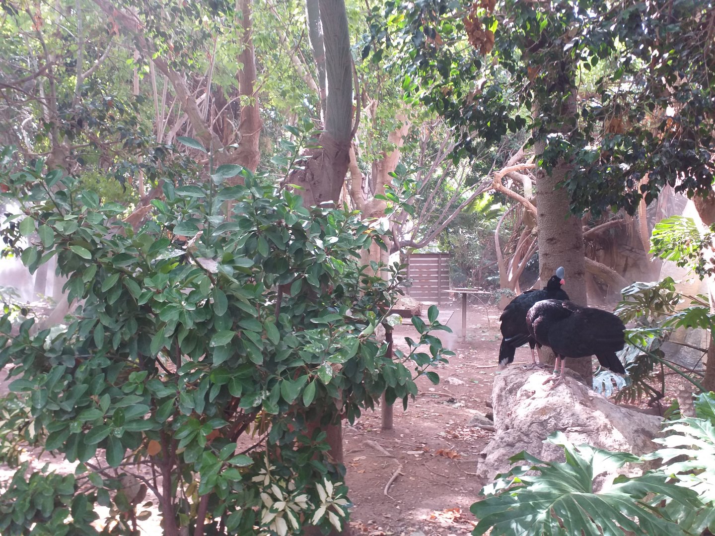 Aviary view -TerraNatura Benidorm (2021)