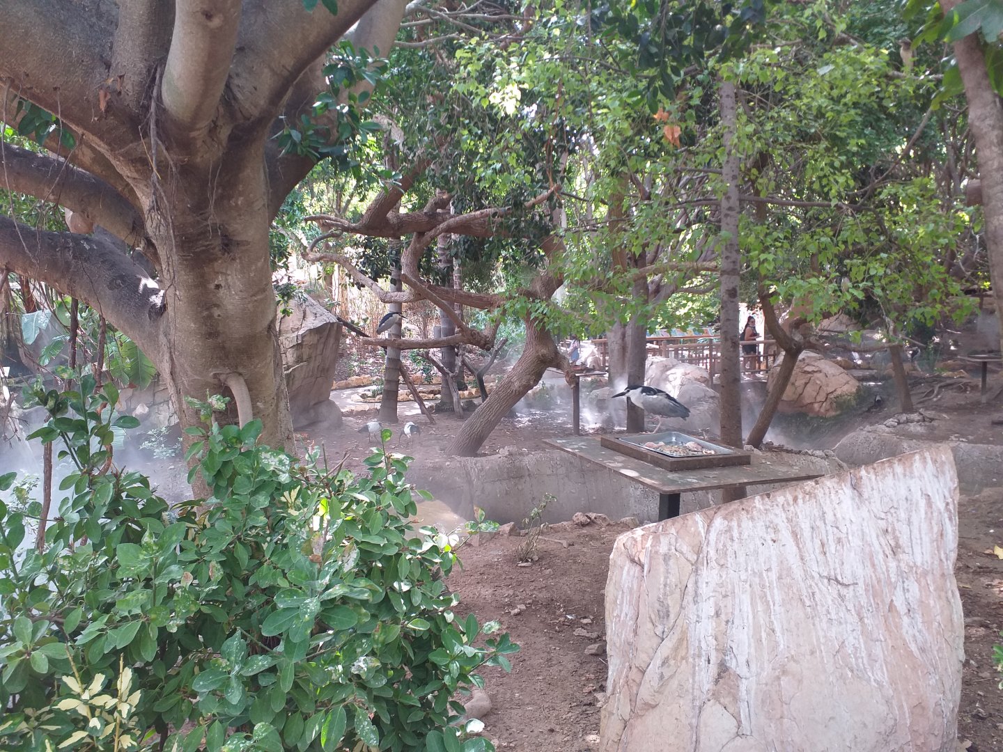 Aviary view -TerraNatura Benidorm (2021)