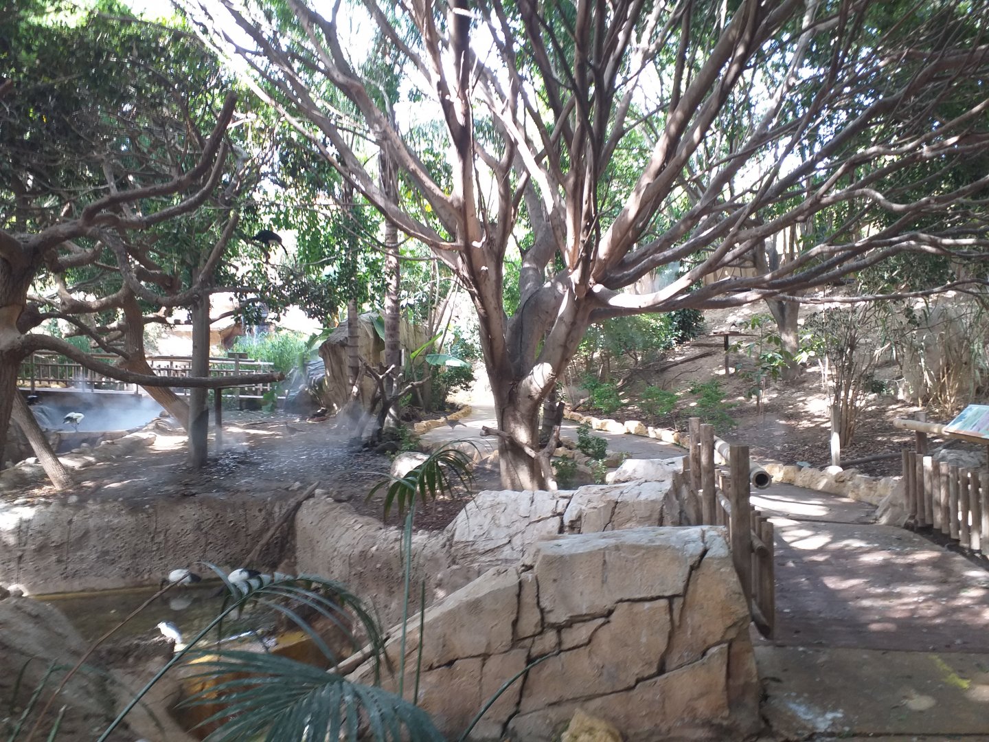 Aviary view -TerraNatura Benidorm (2021)