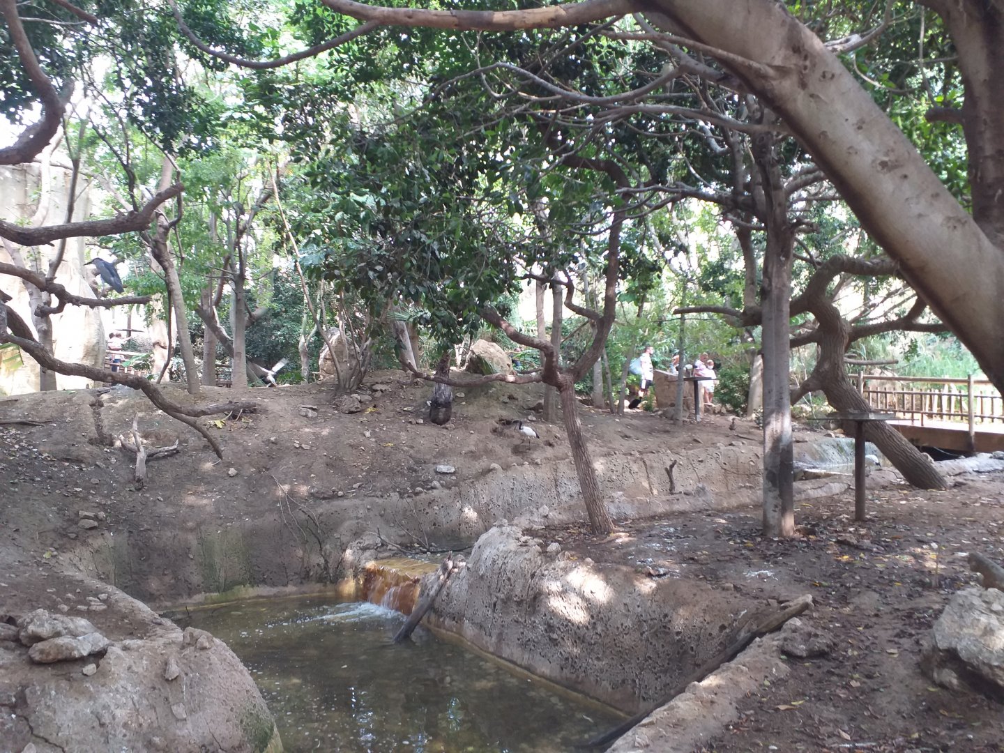 Aviary view -TerraNatura Benidorm (2021)