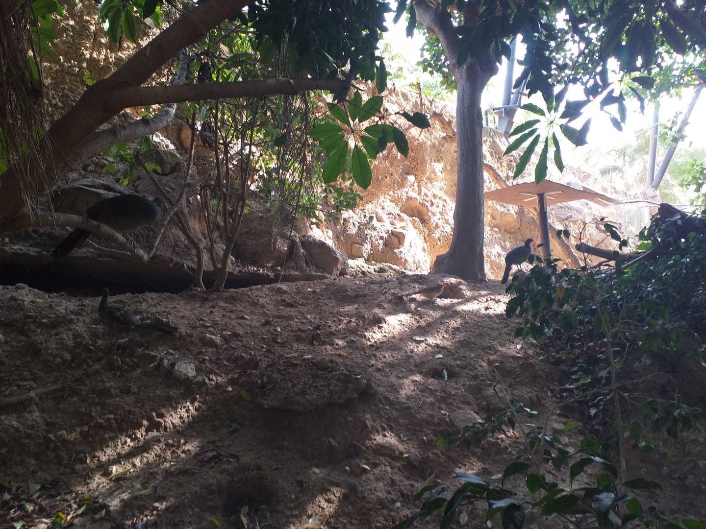 Aviary view -TerraNatura Benidorm (2021)