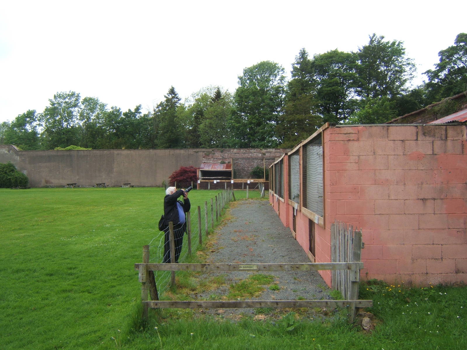 Aviary view with zoochatter for scale