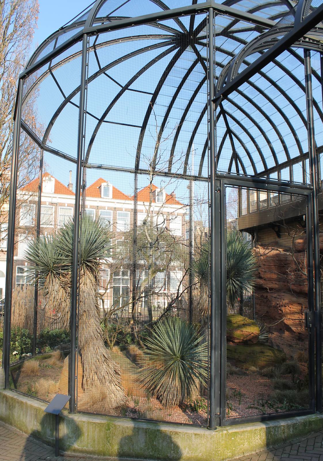 Aviary Village weaver and Crested tinamou