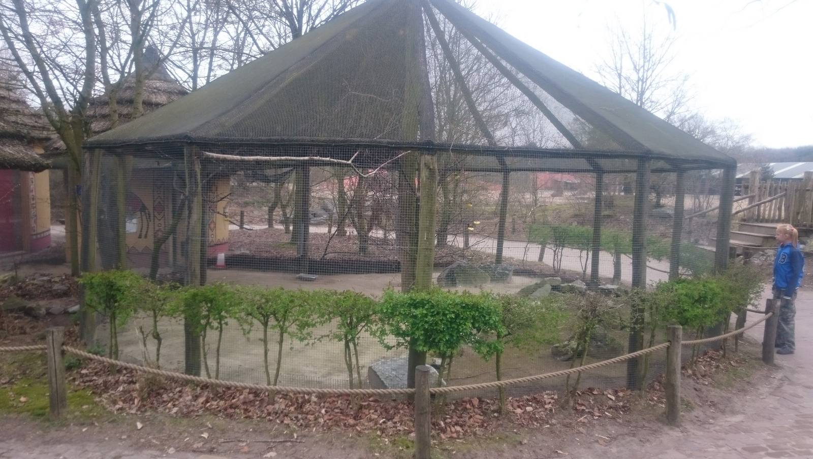 Aviary Village weaver