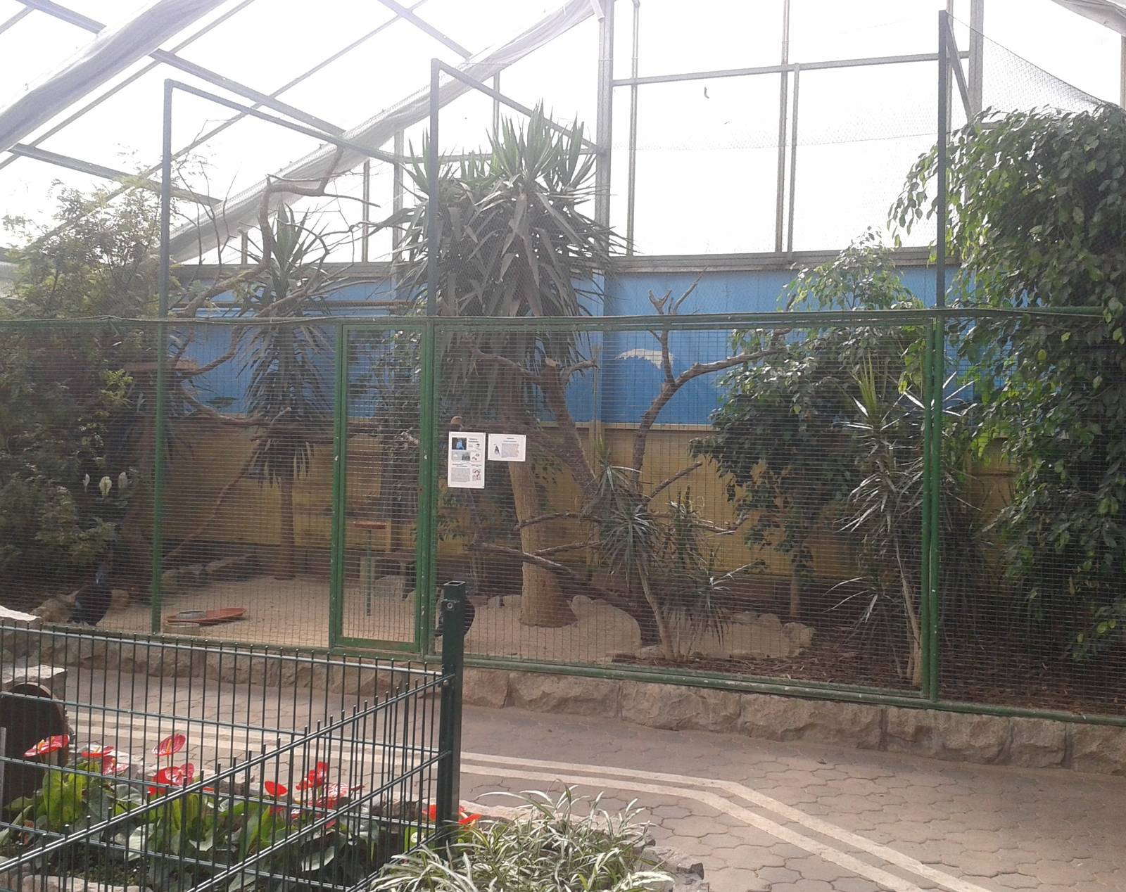 Aviary Vogelparadies halle