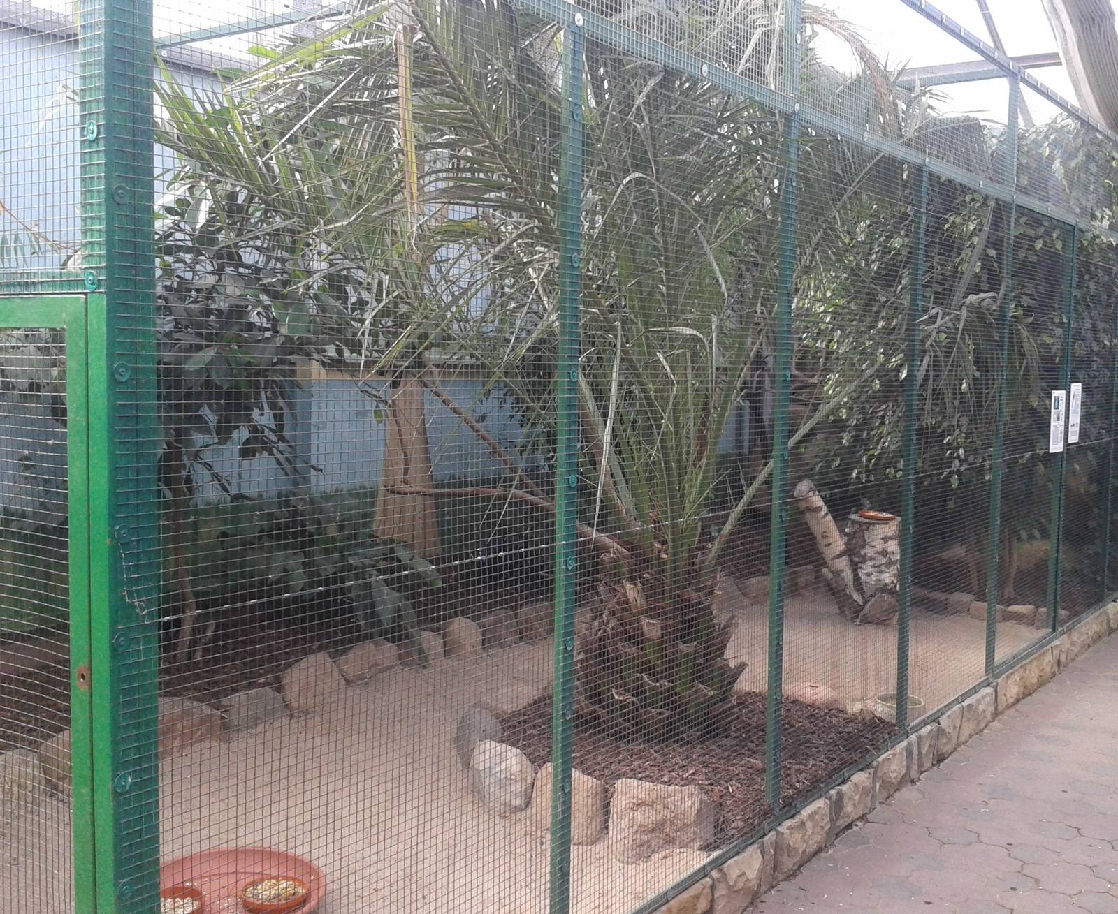 Aviary Vogelparadies halle