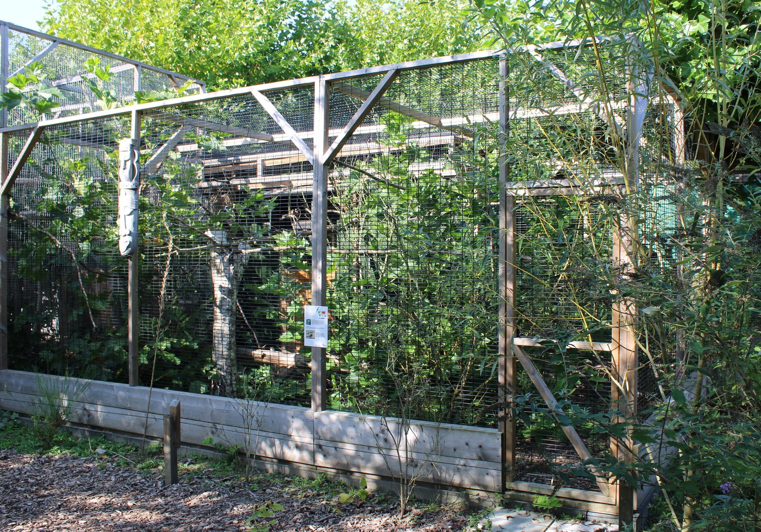 Aviary Von der Decken's hornbill