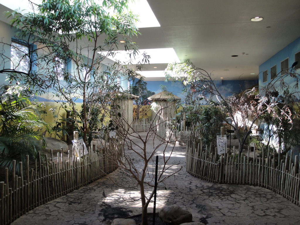 Aviary - Walk-through Africa Exhibit
